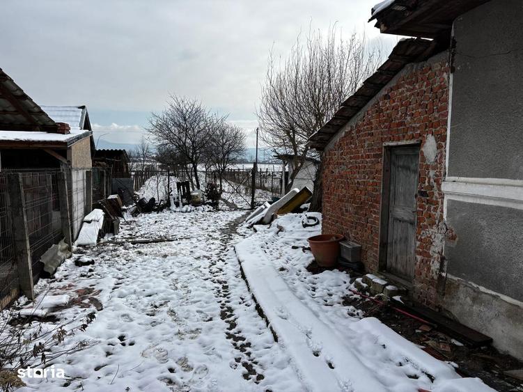 Teren 770mp de vanzare, acces asfaltat - 1