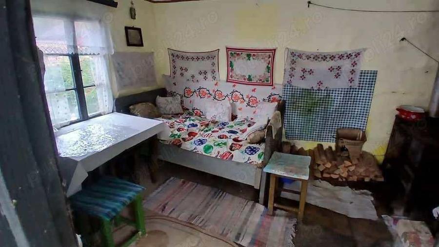 Comision 0 - Teren 3342 mp cu casa in Rusca Montana - 2