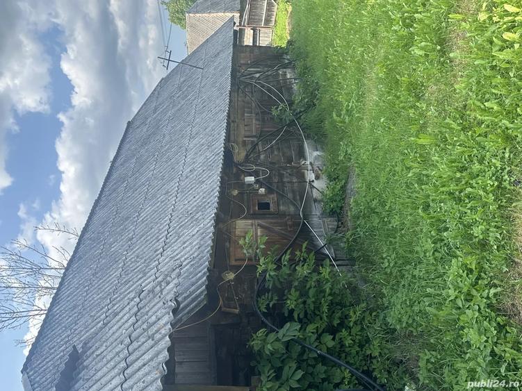 De vanzare casa la ?ara lini?te, natura ?i izvor de apa sarata! - 1