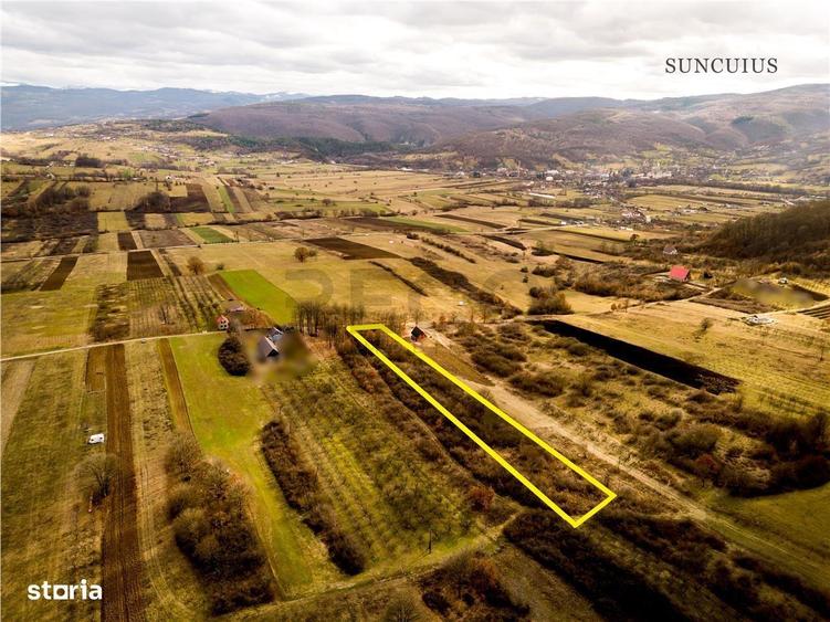 RECO Teren intravilan Zona Vadu Crisului Bihor - 1