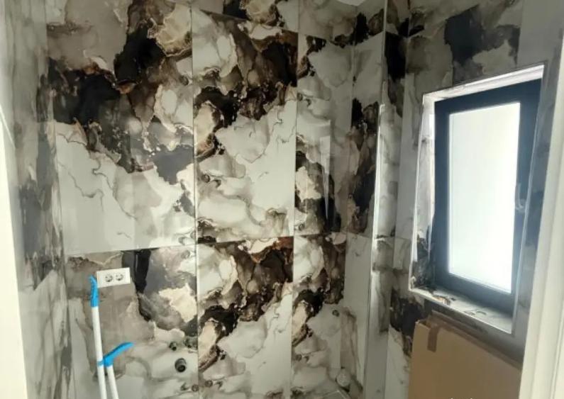 Vanzari Case / vile ILFOV - SUD BERCENI COMUNA - 6