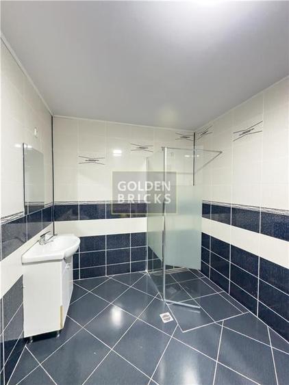 Pache Protopopescu | PROTV | Vizibilitate |  Curte 250 mp | Garaj - 22