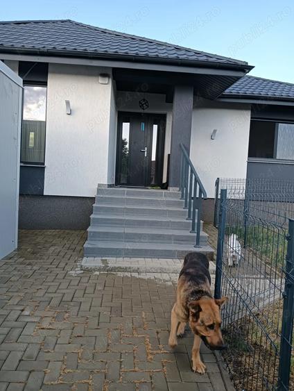 Vand casa Urgent in Tomesti, Iasi - 2