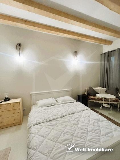 Oportunitate de business, zona ultracentrala, 8 camere - 3