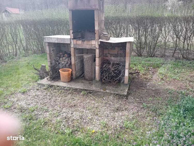 Cabana + teren generos, 60 mp utili, 30 km de Deva - Boz - 9