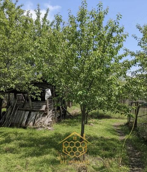 Teren 1.451 mp INTRAVILAN in Podari Toate utilitatile - 4