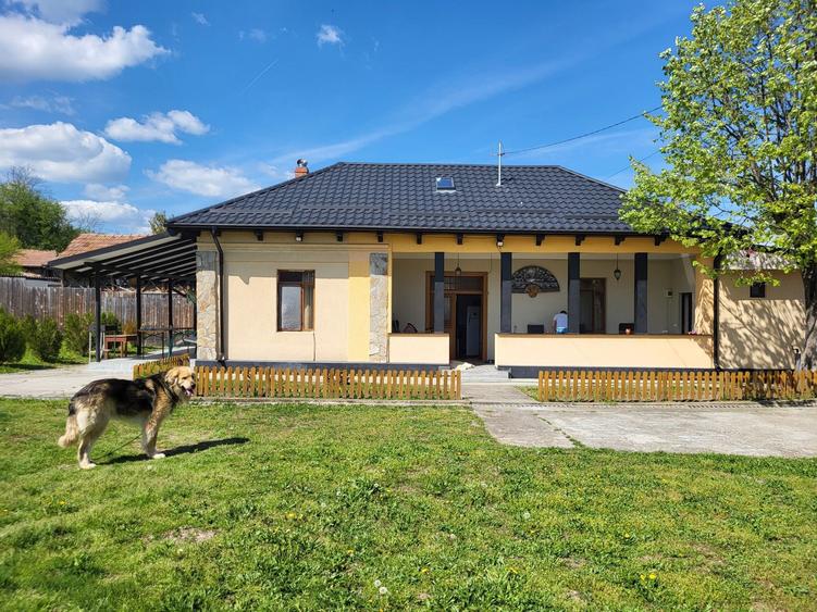 Casa de vanzare in comuna Strejesti de Sus - 3