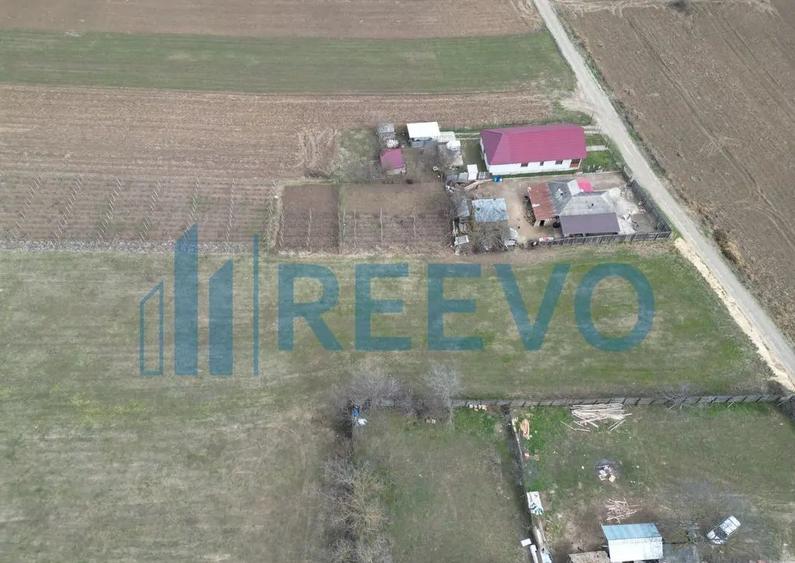 Teren de vanzare, Sat Bazga, Com. Horge?ti, Bacau - 11