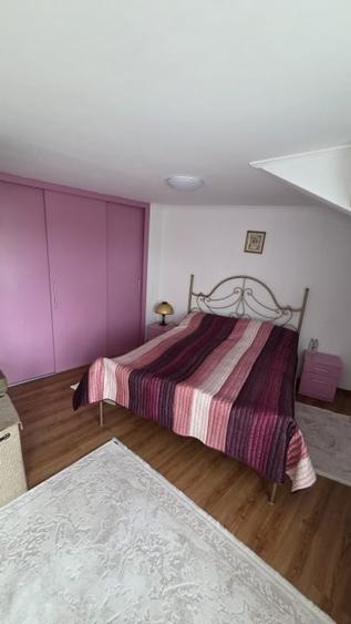 Casa spatioasa cu piscina, crama si teren generos – zona Aurel Vlaicu - 11