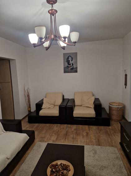 COLENTINA RAU, MAIOR BACILA IN PLAN SECUND, PARCUL PLUMBUITA LA 5MIN. - 9