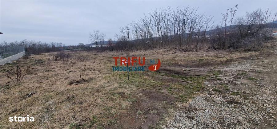 Teren pentru casa in zona Podei 1091mp - 8