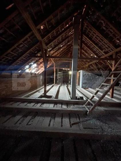 Casa 310 mp utili, 2900 mp teren, zona Insula, Campia Turzii - 10