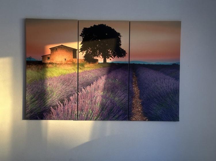 Apartament 2 dormitoare cu hol locuibil, 2 balc, centrala proprie, bloc solid - 9