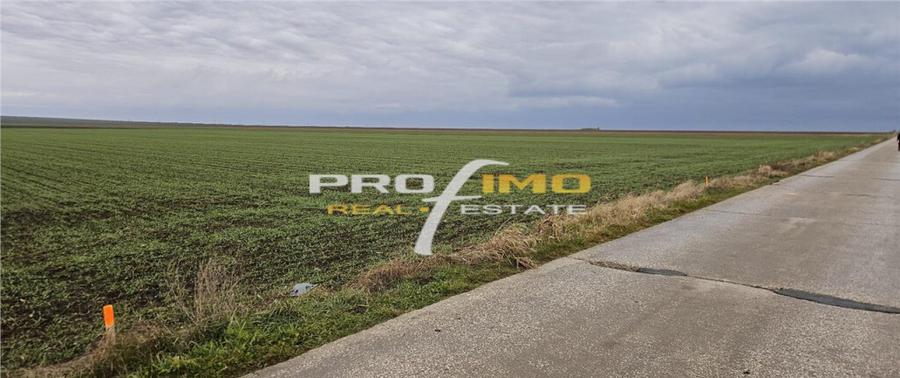 Plaja Corbu-Teren 4200mp. la numai 8 euro /mp. Soseaua asfal - 1