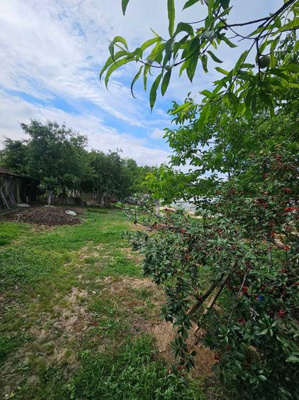 Casa de vanzare cu gradina si curte mare in orasul Lipova, jud.Arad. - 5