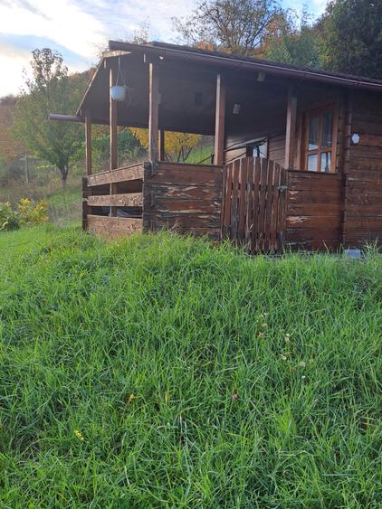 VILA NOUA,MODERNA CU 2100 METRI PATRATI TEREN-VIISOARA - 23