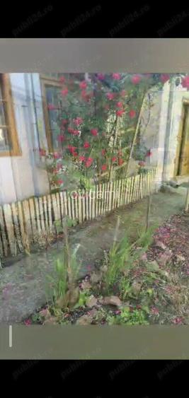 Casa centru Daneti, 80mp, curte si gradina 3.000 mp, apa + curent