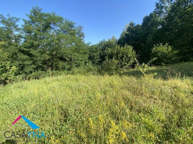 Podis - Strada Dubas - Teren 7205mp! - 1