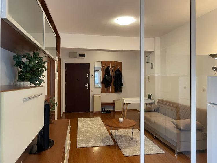 Apartament cu 2 camere de inchiriat in zona Marriott - 10