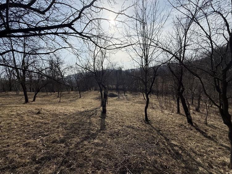 Teren intravilan 2788 mp deschidere 55 ml cu vedere panoramica ! - 9