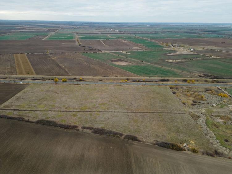 Teren 22.500 mp – Pecica, jud. Arad - 8