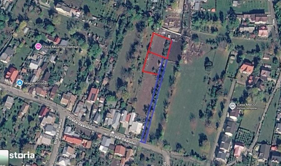 Campina Teren intravilan 689 mp, ideal pentru casa - 6
