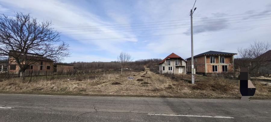 Teren 2.366 mp Zervesti drum principal spre Muntele Mic - 3