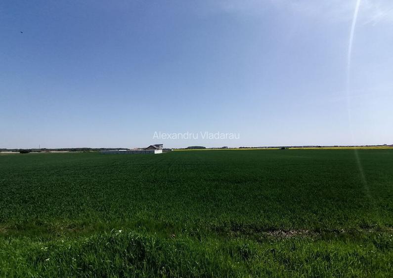 Teren intravilan 9313 mp in comuna 1 Decembrie - Ilfov