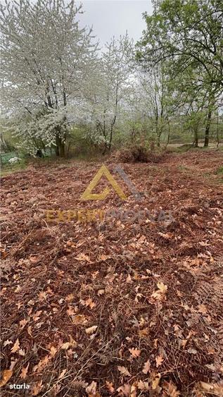 Teren intravilan in spate la Castel Transilvania 1.000mp - 9