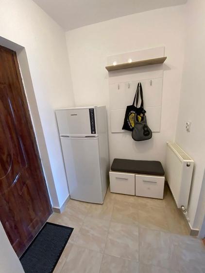Apartament , ultracentral, 1 camera Blvd. Corvin - 6