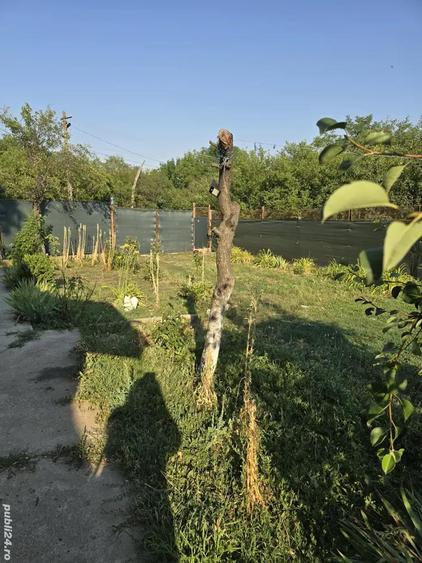 de vanzare casa la tara - 5