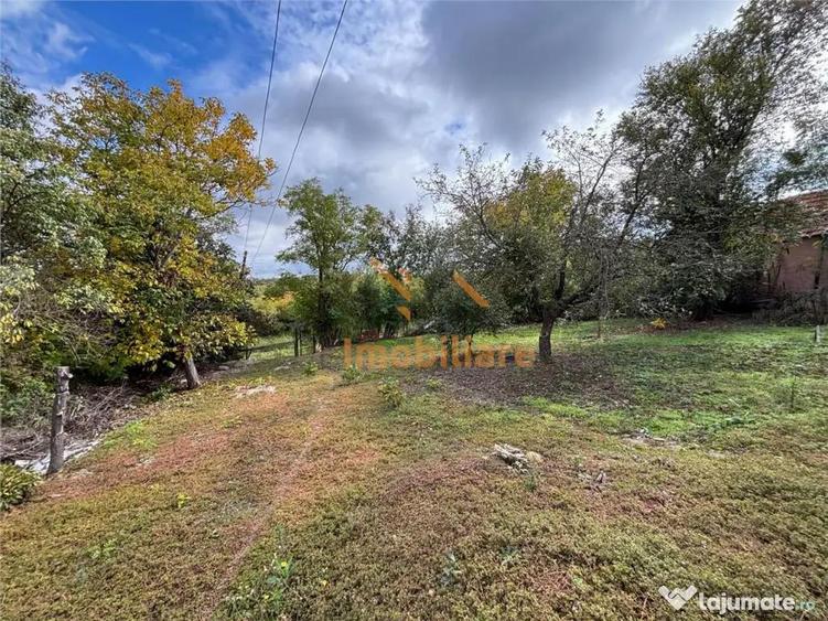 CASA SI TEREN 4.000 MP | SAT TRIA | COMUNA DERNA | JUDETUL B - 7