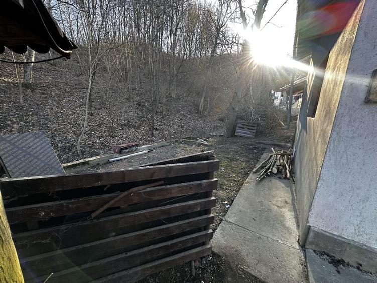 Casa de vacanta Breaza - 4