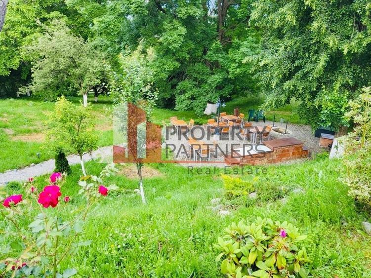 Vilă in Bran cu teren de 28.000 mp și priveliște spectaculoasa - 32