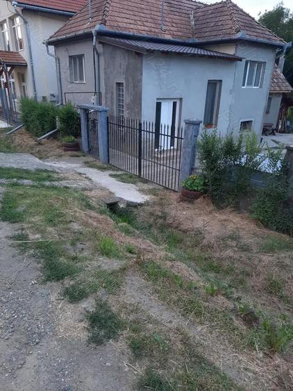Proprietar, vand casa familiala cu teren in Cornesti, Craciunesti Mure? - 10