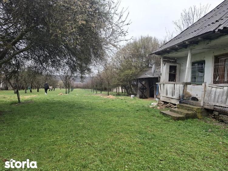 Teren de vanzare Gheboieni DB intravilan+extravilan - 2