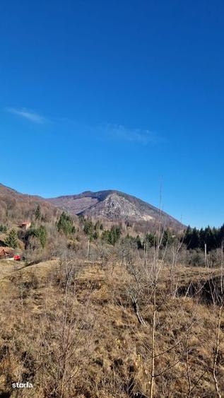 Teren Campul lui Neag Valea Parosenilor - 3