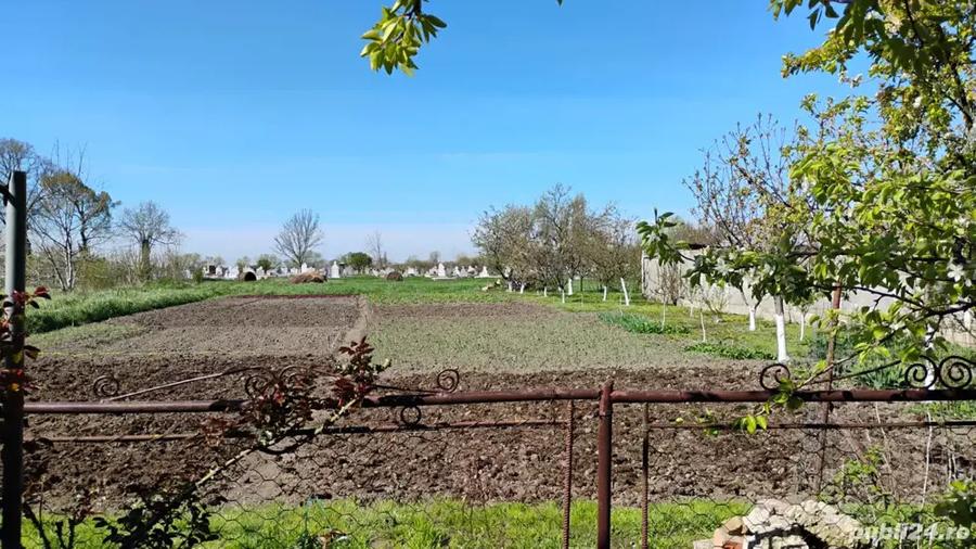 Vand casa in Utvin - 8