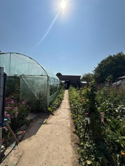 O oaza de liniste in Sabareni - 8