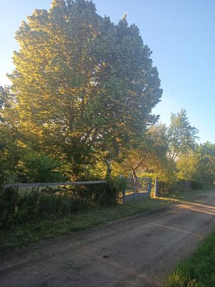 Casa Samboleni com camarasu 45 km de cluj - 1