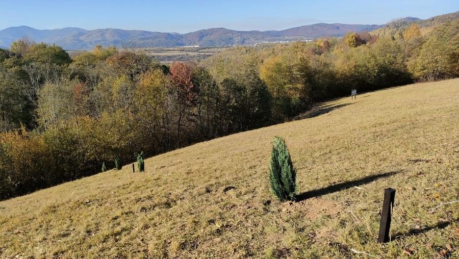 Teren zona Bran Tohanita! - 2