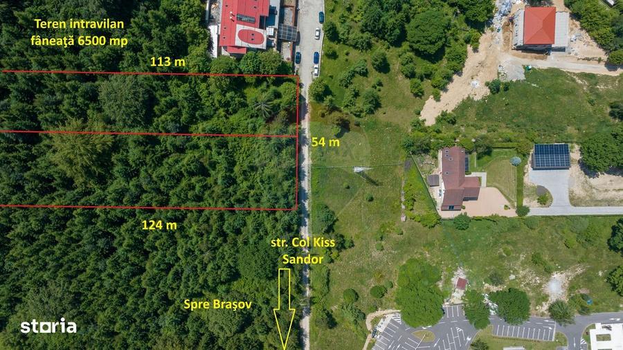 Teren intravilan, 3000 mp, Dambu Morii - 6