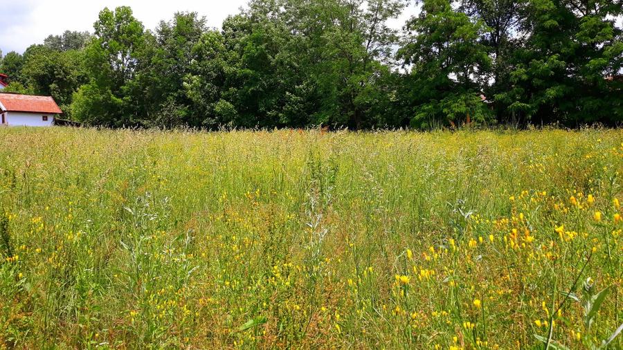 Casa Slanic Prahova  pensiune,hotel 24 camere - 13