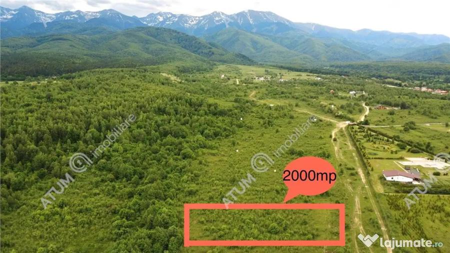 Teren extravilan 2000 mp in Porumbacu de Sus din Sibiu - 4