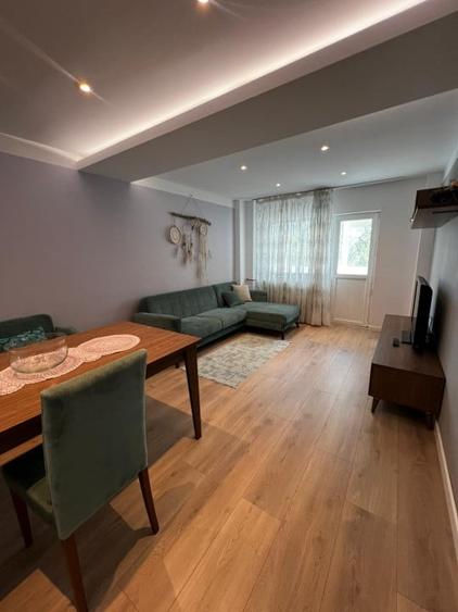 Apartament Victoriei -  Banu Manta - 2