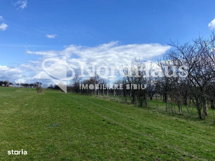 Teren Extravilan Rasinari 1500 mp | Zona deosebita - 1