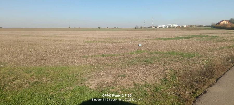 De vanzare loturi de teren intravilan in Singureni, Giurgiu - 5