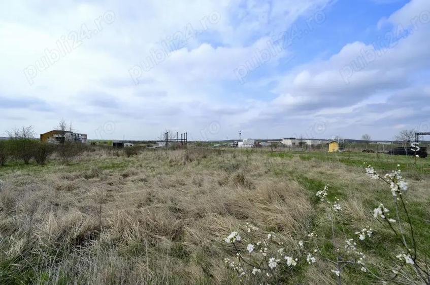 VANZARE TEREN 2000 mp 50euro mp intravilan utilitati in Izvorani la 140 metri de Delta SNAGOV - 3