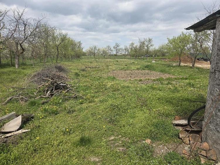 Casa de vanzare, teren 1439 mp, Ianova - 5