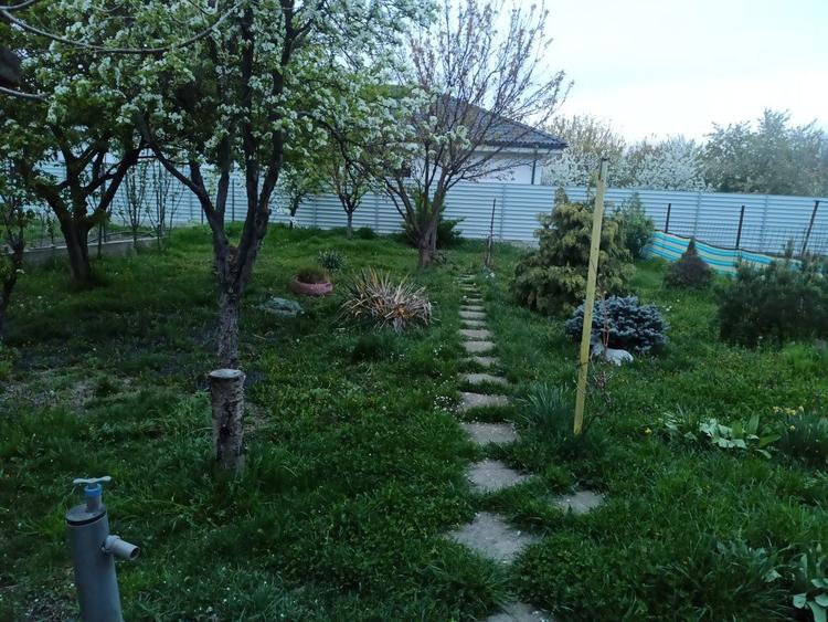 Vand casa 3 camere in bujac, 540 mp teren - 2